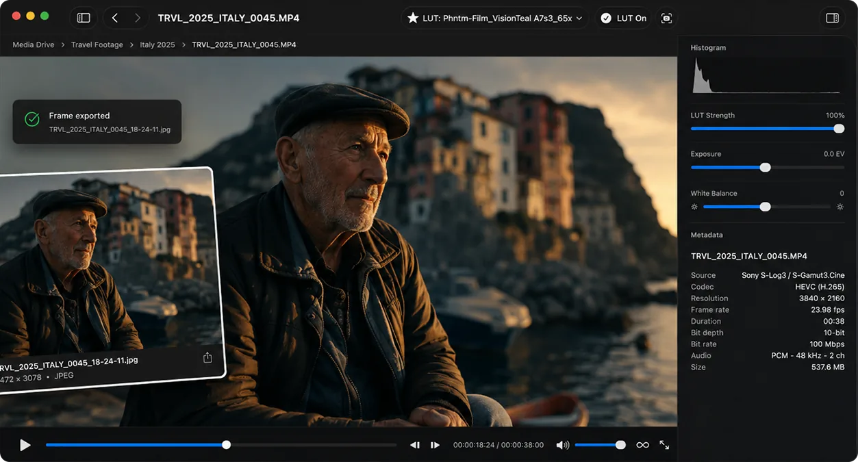 Loglux playback window showing a frame exported confirmation and a floating graded still preview.