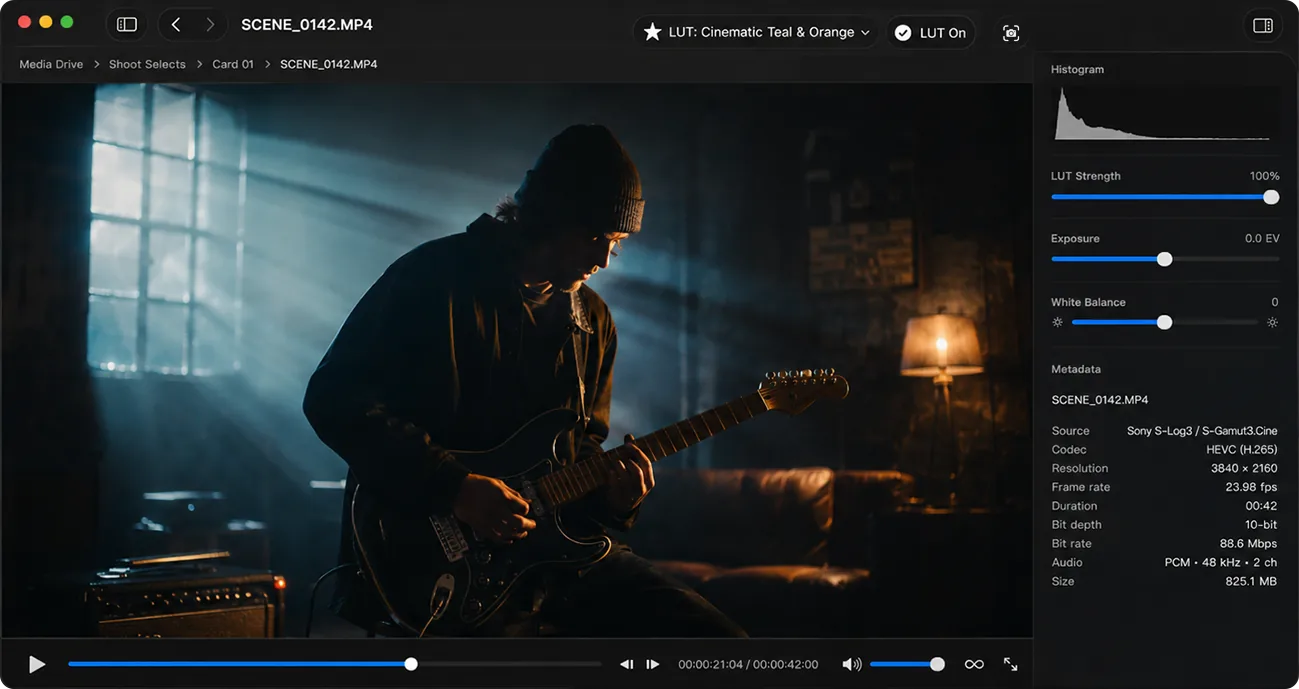 Loglux playback window showing a cinematic guitar shot with histogram, LUT strength, exposure, white balance, and metadata controls.